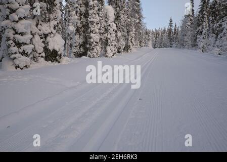 Cross-country ski tracks in Pallas-Yllästunturi National Parks, Muonio, Lapland, Finland Stock Photo