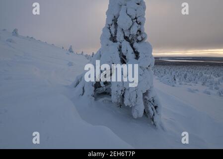 Wintery landscape in Pallas-Yllästunturi National Park, Muonio, Lapland, Finland