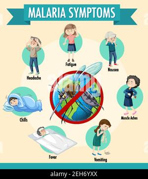 Malaria symptom information infographic illustration Stock Vector