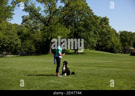 First Lady Michelle Obama gestures to Bo, the Obama family dog, on the South Lawn of the White House, April 29, 2010. Stock Photo