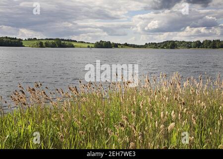 Serdovo lake. Vitebsk region. Belarus Stock Photo