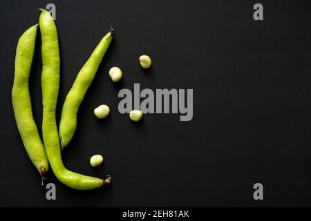 Freshly picked broad beans, Vicia Faba also known as field beans, fava, and tic beans. Isolated on black background. copy space for text. view from ab Stock Photo