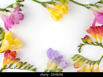 Flowers frame made of Freesia on white background. Flat lay, top view. Copy space. Stock Photo