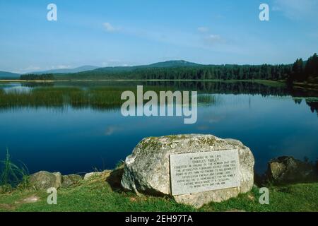 The Charles Parley memorial stone at Stroan loch in The Galloway Forest Park Scotland Stock Photo
