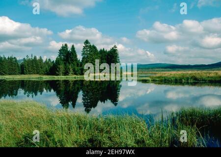 The Stroan Loch on the Raiders Road Forest Drive in The Galloway Forest Park Scotland Stock Photo