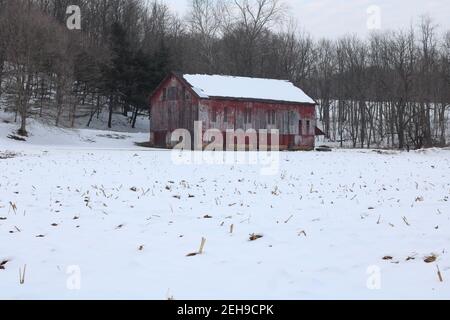 Rustic red barn, with snow-covered corn field in front Stock Photo