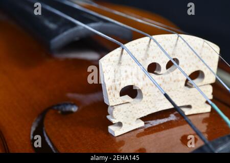 Full profile of beautiful violin on black background Stock Photo
