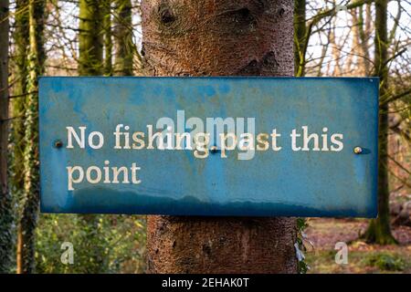 Blue no fishing past this point sign on a tree in a woodland beside the water Stock Photo