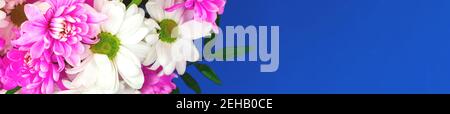 Spring wide banner, background of pink and white flowers, beautiful bouquet on a flat lay blue desk, copy space, web design photo Stock Photo
