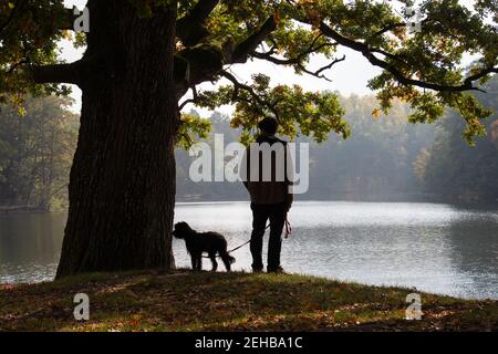 Silhouette of a man and a dog standing under a big tree at a lake - autum mood with reflexion of sunlight in the water Stock Photo
