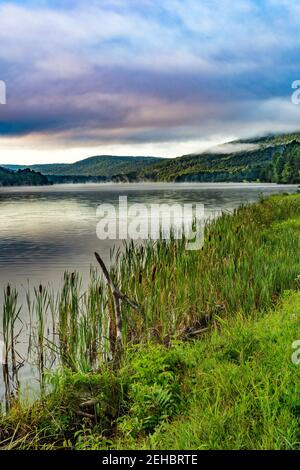 Cattails line the shore of Quaker Lake at sunrise, Allegany State Park,  Cattaraugus County, New York Stock Photo