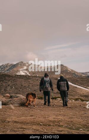 Back view of anonymous male hikers in warm clothes with backpacks and trekking poles walking on rough mountain slope with German Shepherd dog against Stock Photo