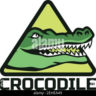 alligator crocodile logo for your business company. vector illustration Stock Vector