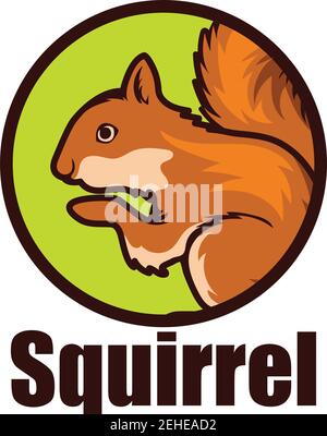 squirrel logo isolated on white background vector illustration Stock Vector