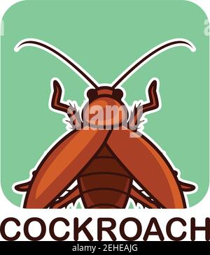 cockroach logo isolated on white background vector illustration Stock Vector