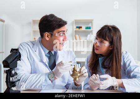 The two archeologists looking at ancient gold lamp Stock Photo