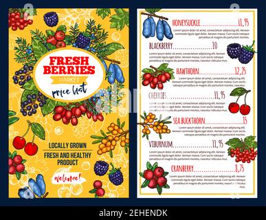 Fresh berries market price list. Colorful vector price for honeysuckle and blackberry, hawthorn or cherries, sea buckthorn and viburnum, cranberry. Co Stock Vector