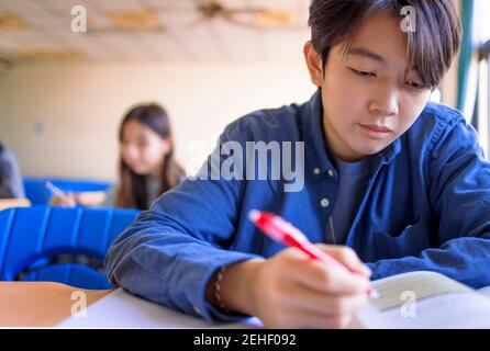Teenager students studying in classroom