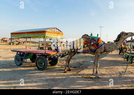 Various views of the Rann of kutch Stock Photo