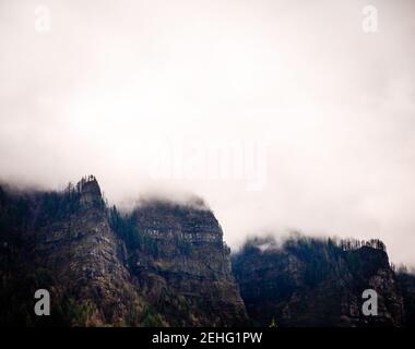 Oregon forest during a rain storm Stock Photo