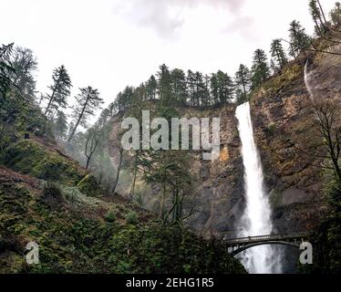 Oregon forest during a rain storm Stock Photo