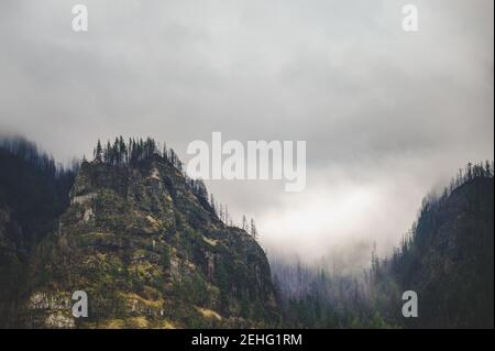 Oregon forest during a rain storm Stock Photo