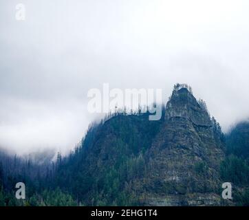 Oregon forest during a rain storm Stock Photo