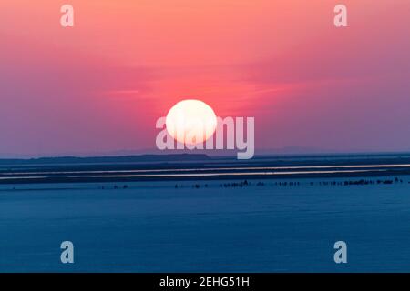 Various views of the Rann of kutch Stock Photo