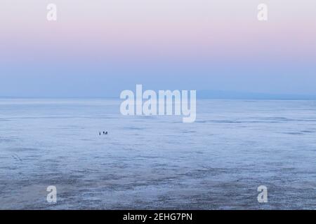 Various views of the Rann of kutch Stock Photo