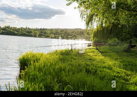 Carp fishing rods with carp bite indicators and reels set up on rod pod near lake river. Fishing during sunrise. Stock Photo