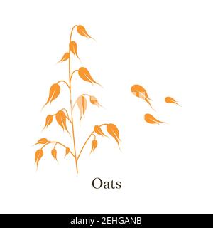 Oats cereals grain. Vector illustration isolated on white background. Stock Vector