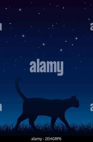 Cat Walking Peacefully During Starry Night Stock Vector
