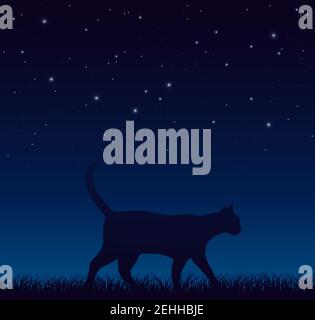 Cat Walking Peacefully During Starry Night Stock Vector