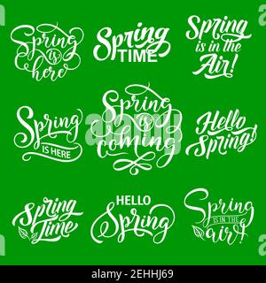 Hello Spring hand drawn lettering for Springtime Season Holiday design. Spring Is Coming calligraphy quote with green leaf and ribbon banner for greet Stock Vector