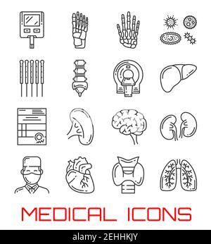 Medical icons with human organs and doctor. Heart, lung and kidney, brain, liver and thyroid gland, hand, foot and spine skeleton bone, blood sugar te Stock Vector