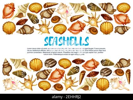 Seashell of marine mollusc banner with border of clam, snail, chiton and tusk shell. Scallop, cockle and turret shell, fighting conch, king crown and Stock Vector