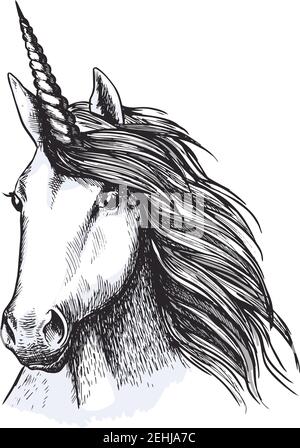 Winged unicorn Drawing Pegasus, unicorn, horse, cartoon, fictional  Character png | PNGWing
