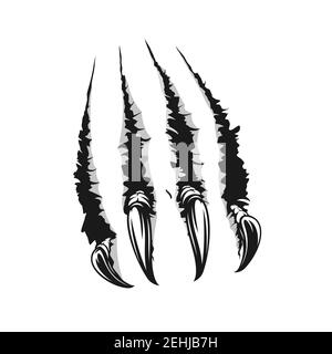 Scratch claws of animals realistic sketch. Hole in sheet of paper with torn edges. Monster claws scratching wall isolated on white. Beast claw breakin Stock Vector