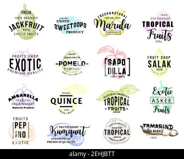 Fruits of exotic origin icons, pastel sketches. Natural tropical food jackfruit and pops, marula and pomelo, sapodilla and salak, tamarind and kumquat Stock Vector