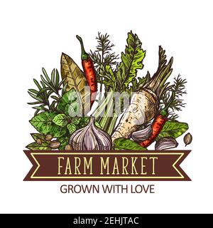 Herbs, vegetables and spices, farm market design. Green basil, chili pepper and garlic, thyme, rosemary and bay leaf, dill, celery, horseradish and co Stock Vector