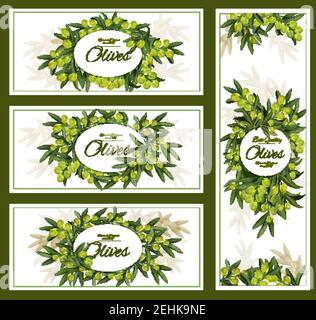 Green olives posters and banners for olive oil product package. Vector advertisement design of olive tree branches with rip fruits harvest for Italian Stock Vector
