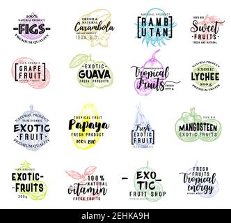 Exotic hand drawn lettering with sketch fruits. Papaya, grapefruit and carambola, lychee, durian and fig, guava, passion and dragon fruit. Food packag Stock Vector