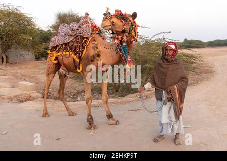 Old Man With Camel Near Abbassi Mosque near Derawar Fort, Yazman Tehsil, Punjab, Pakistan Stock Photo