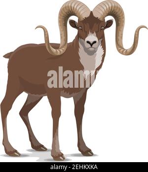 Markhor or screw horn wild vector goat. Flare astore markhor with corkscrewing horns wildlife domesticated animal living in mountains, realistic feral Stock Vector