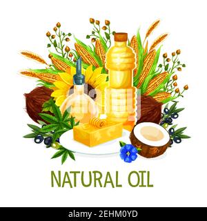 Natural oil in bottles, vector. Butter on plate, coconut and corn, sunflower, olives, herbs and wheat spikes, hemp and flowers. Extra virgin oils, org Stock Vector