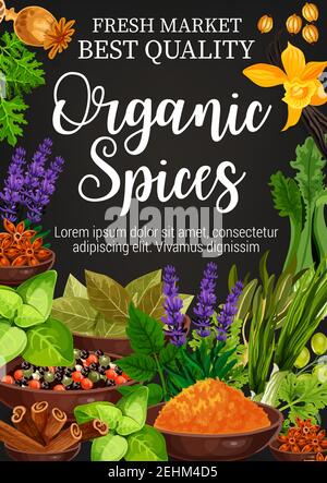 Herbs and spices seasonings poster for best quality farm market. Vector design of white, red and black pepper or poppy seed and cinnamon with lavender Stock Vector