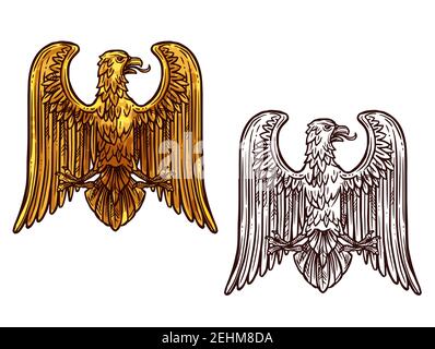 Heraldic eagle golden statue and sketch icon. Griffin coat of arms, hawk symbol of power and strength, outline golden eagle, vintage vector. Bird for Stock Vector