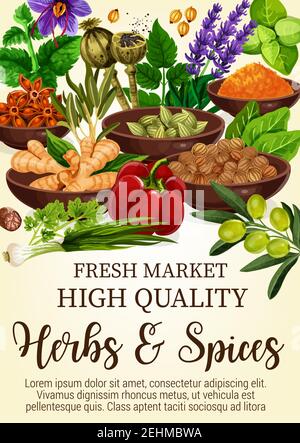 Herbs and spices poster with condiments in bowls. Ginger and cinnamon stars, bay leaves and lavender, olive and bell pepper. Piquant curry and mint, l Stock Vector