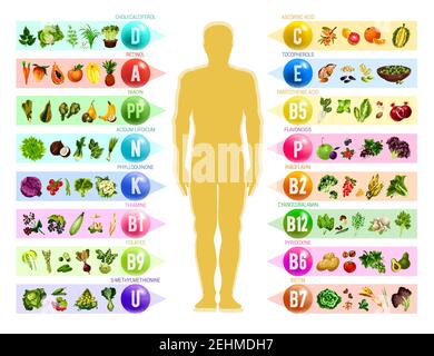 Vitamin and mineral in food. Human silhouette with chart of vegetable, fruit and nut, cereal and berry, organized by content of vitamin. Health nutrit Stock Vector