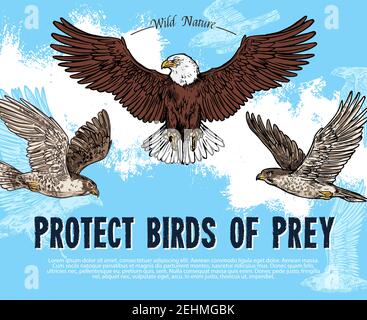 Protect birds of prey sketch poster for wild nature and environment protection. Vector design for save rarity predatory or raptor birds of eagle vultu Stock Vector